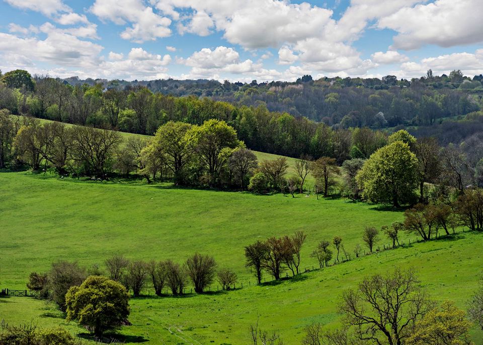 Kent hills from the park