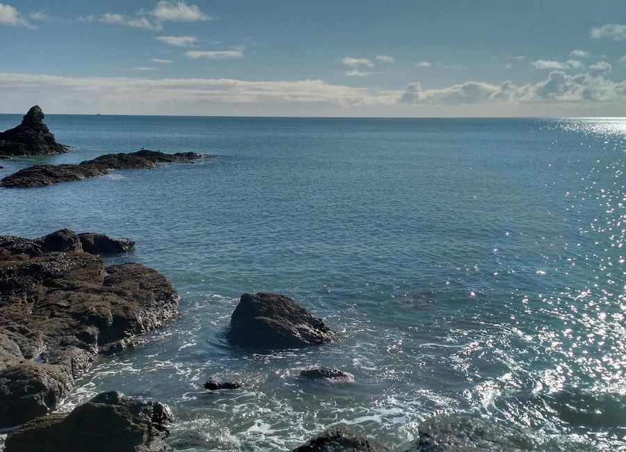 Rocky coastline near the park