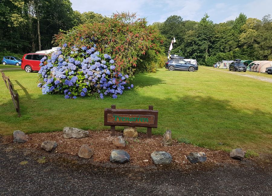 Touring field with hydrangeas