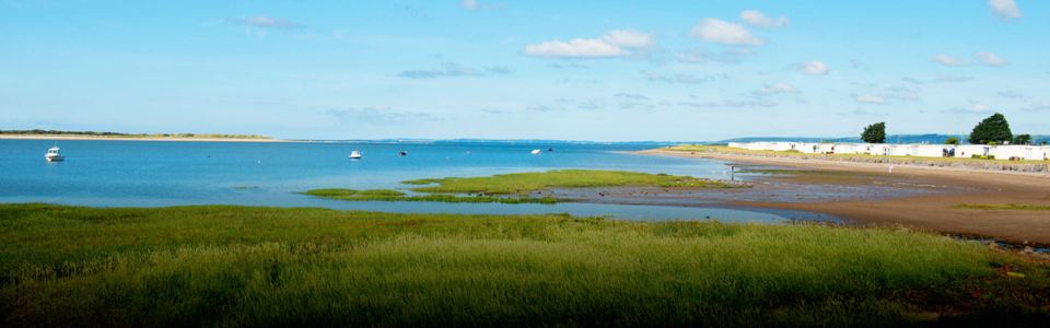 Estuary beside the park