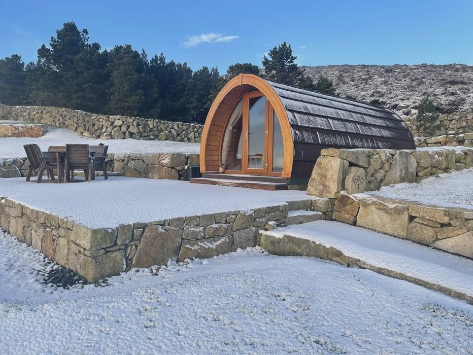 Pod in the snow