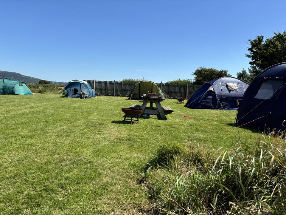 Tent pitches on grass
