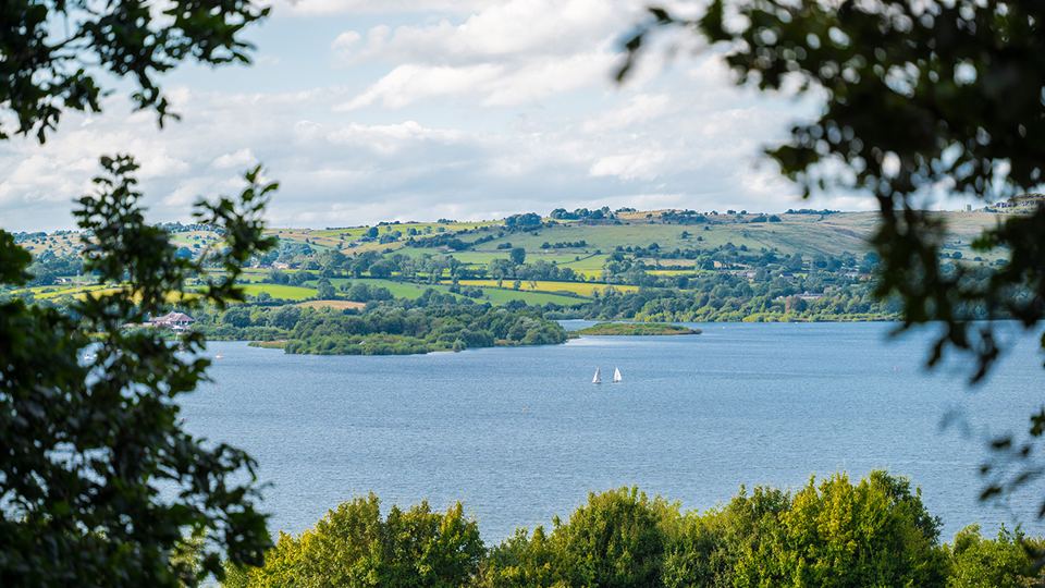 Carsington Water through the trees