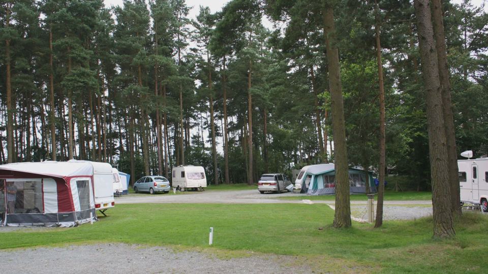 Pitches with trees behind