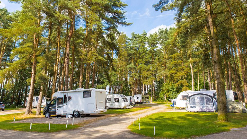 Motorhomes on gravel pitches