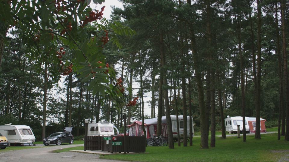 Awnings among the pines