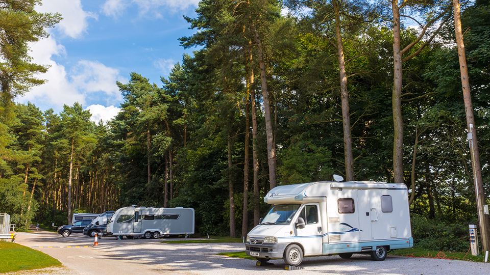 Motorhome in the pine woods