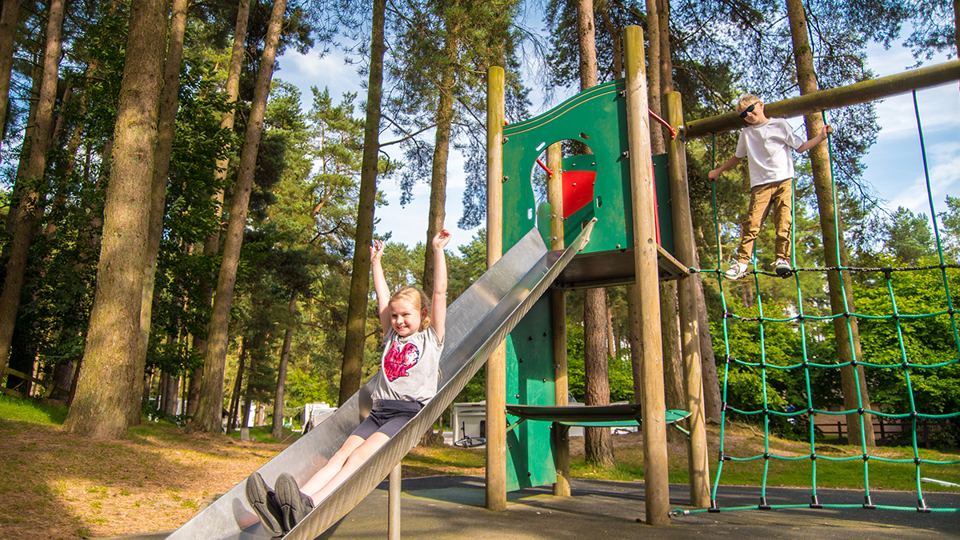 Play area in the trees