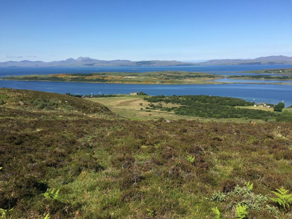 Heather hill above Loch Sween