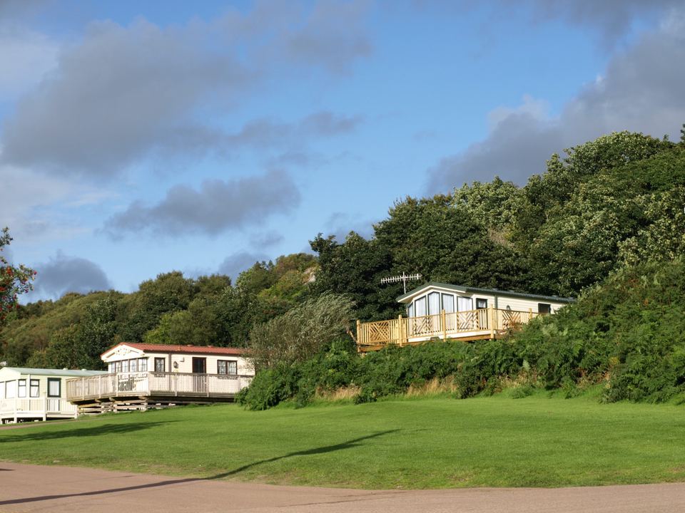 Holiday homes among the trees