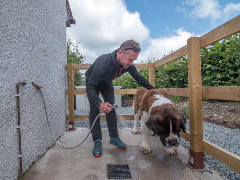 Dog wash with hose and fence