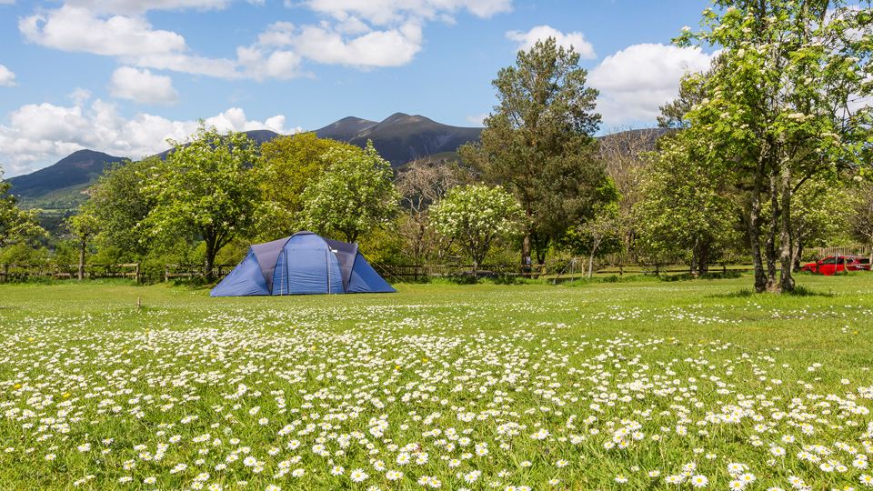 Tent pitched in the meadow with fells beyond
