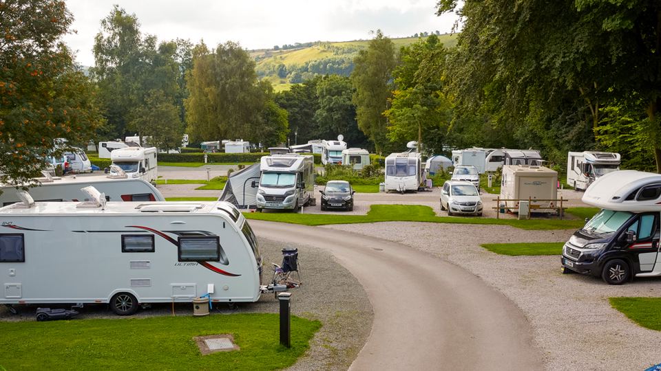 Hardstanding pitches among trees