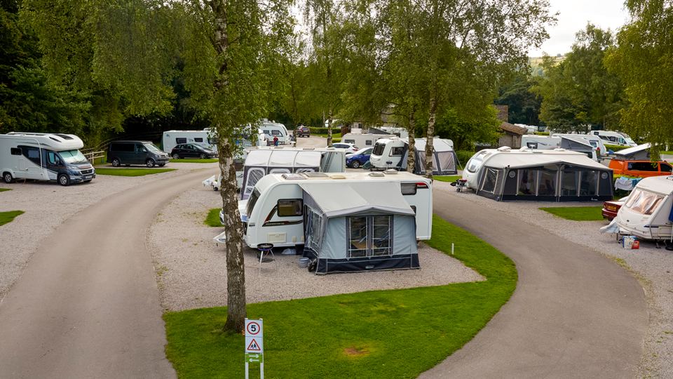 Pitches beside the site road