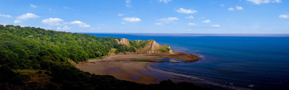 Cayton Bay from above