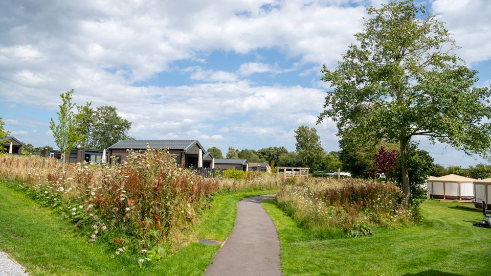 Path through the site grounds
