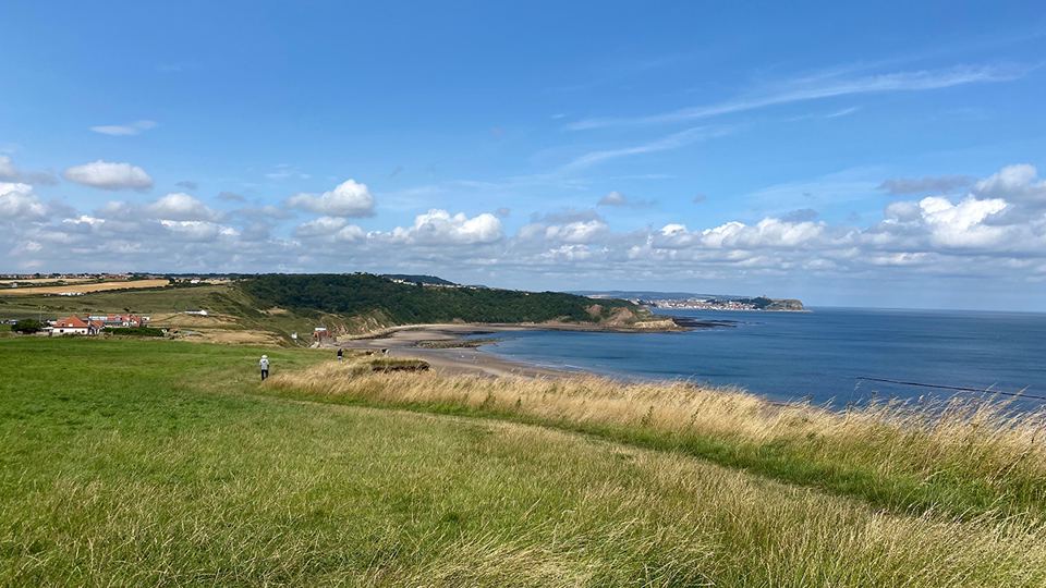 Coastal grass above Cayton Bay