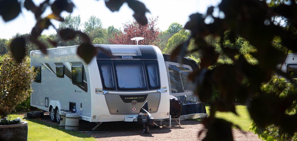 Touring caravan among shrubs