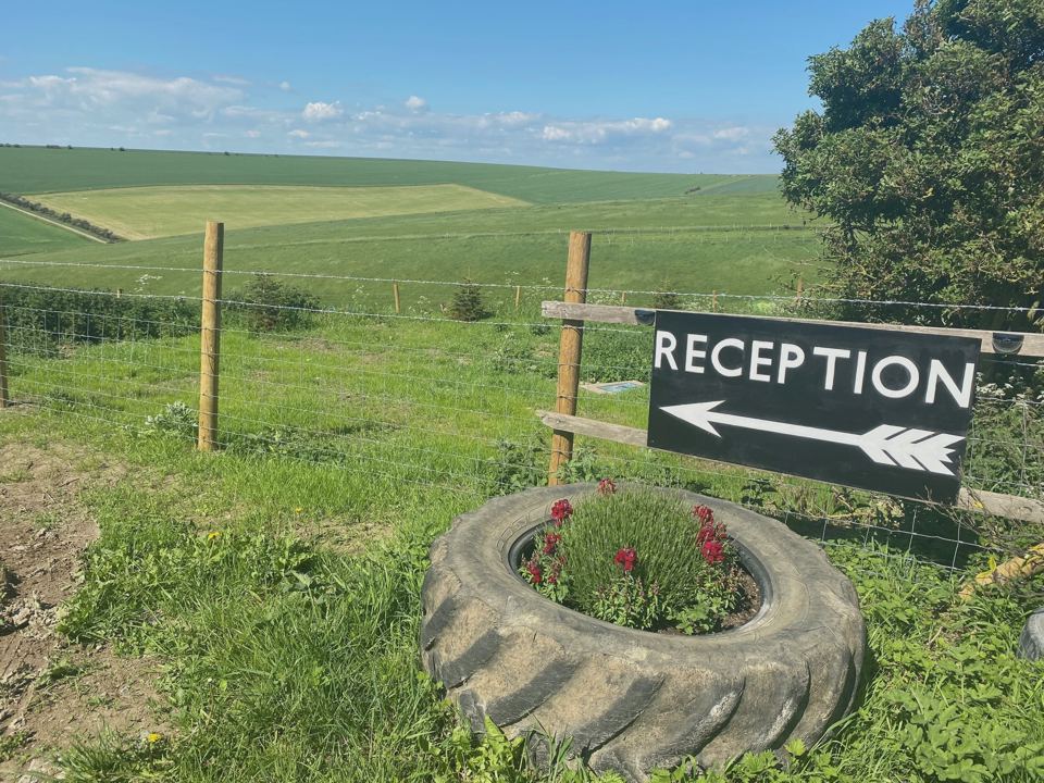 Reception and downland view