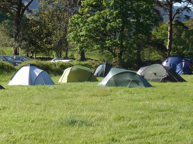 Tents in the grassy field