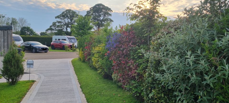 Path between hedges and pitches