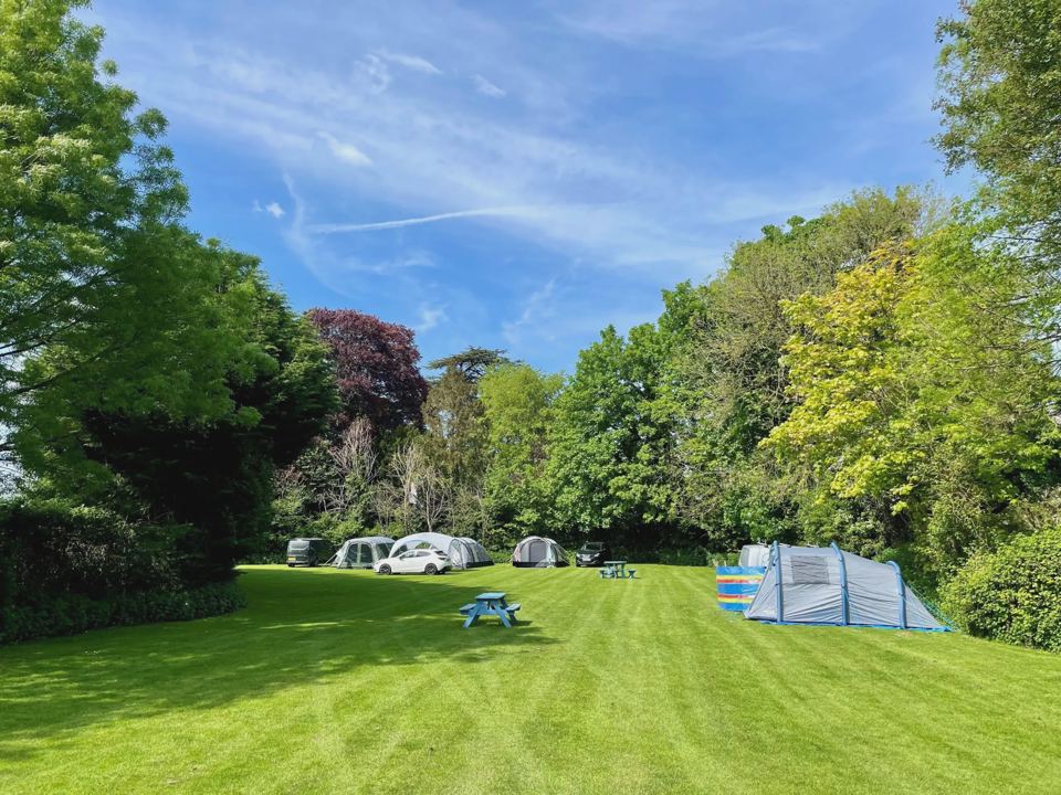 Tents on the grass