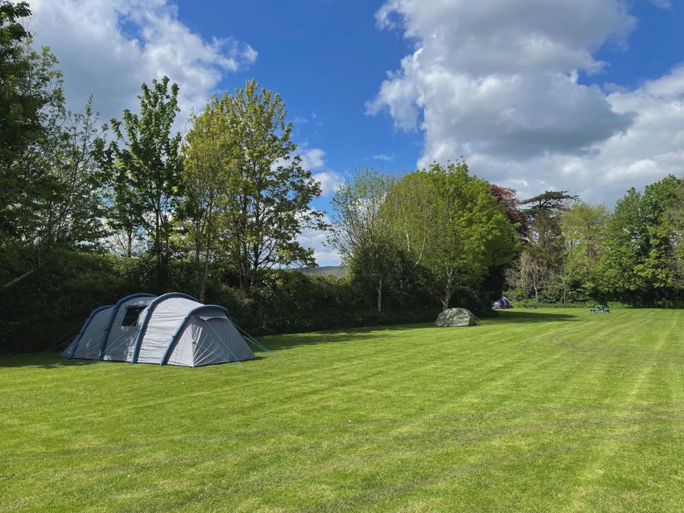 Tent on the camping field