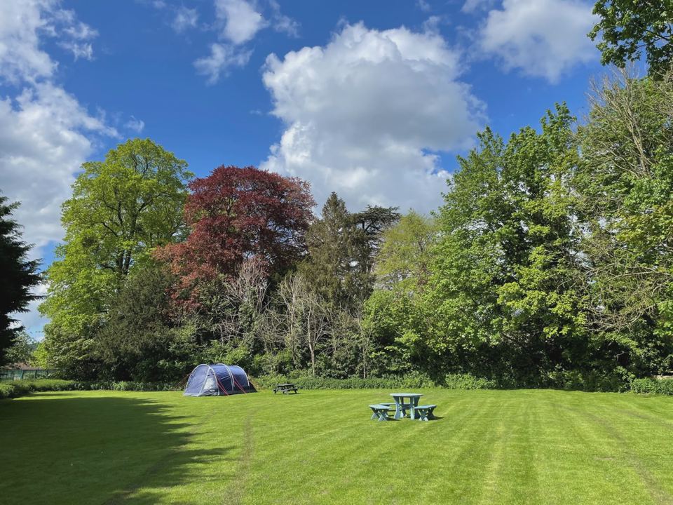 Lone tent on the lawn