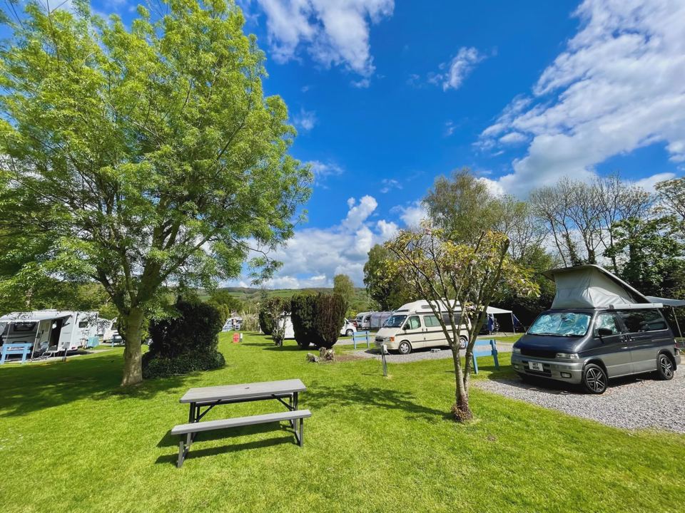 Campervans on touring pitches