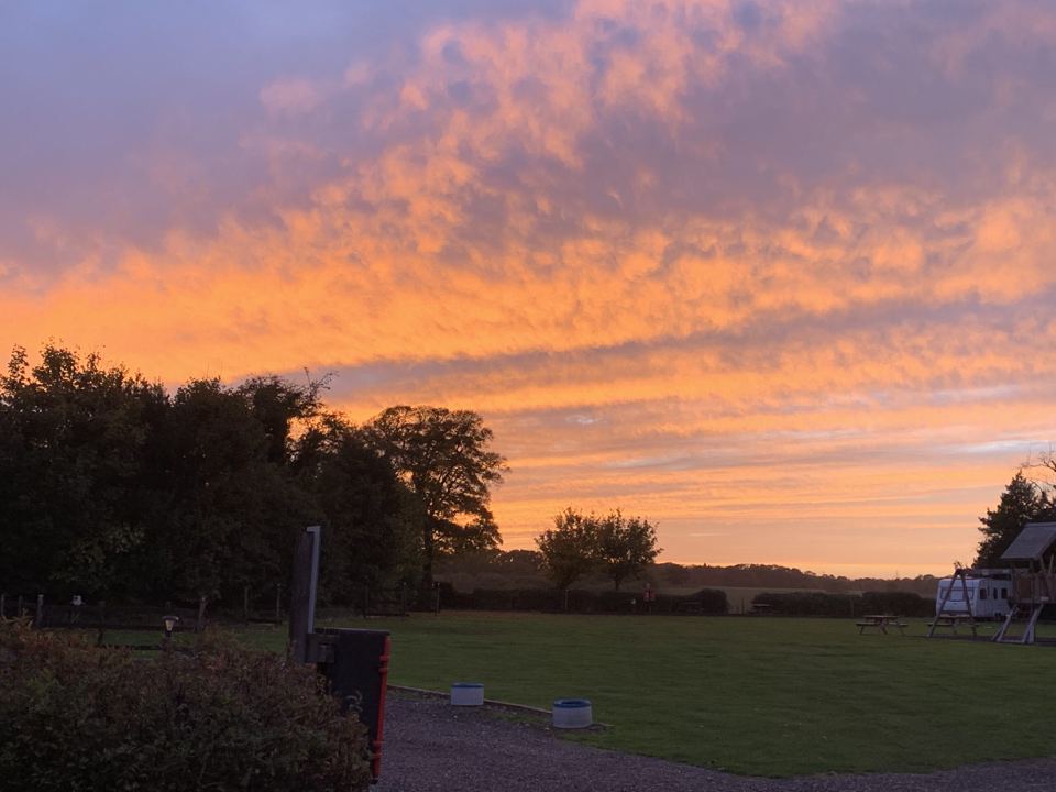Evening light over the field
