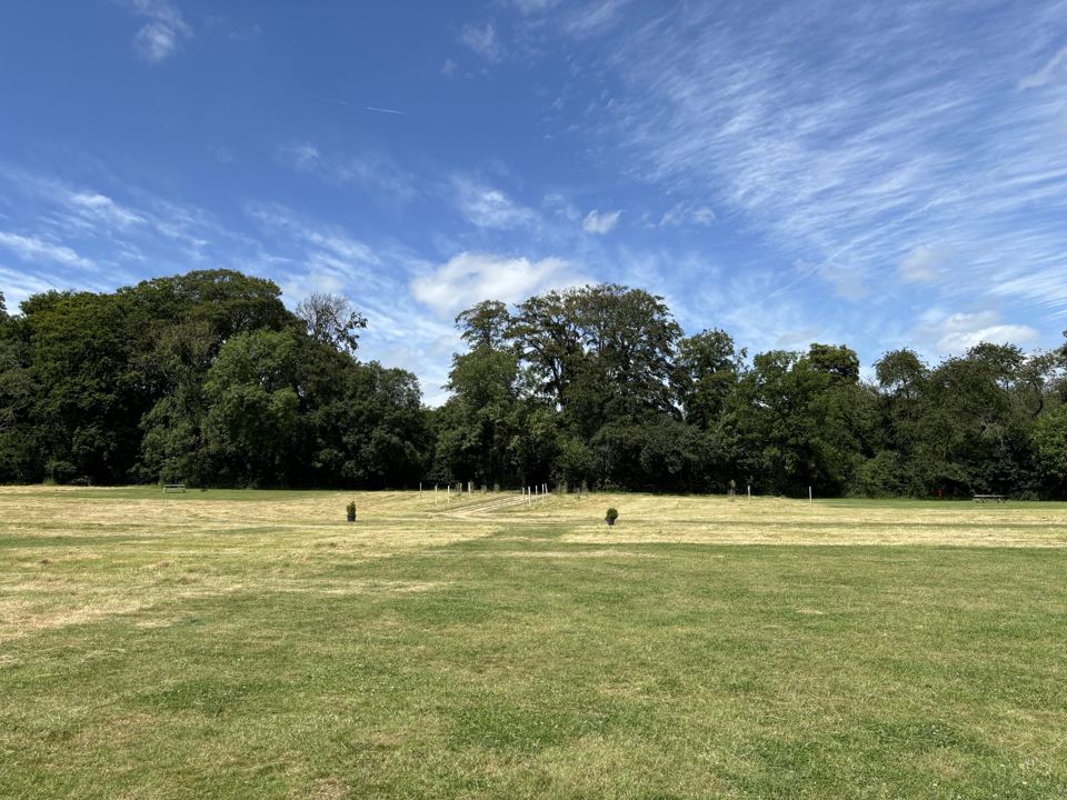 Open field with trees behind