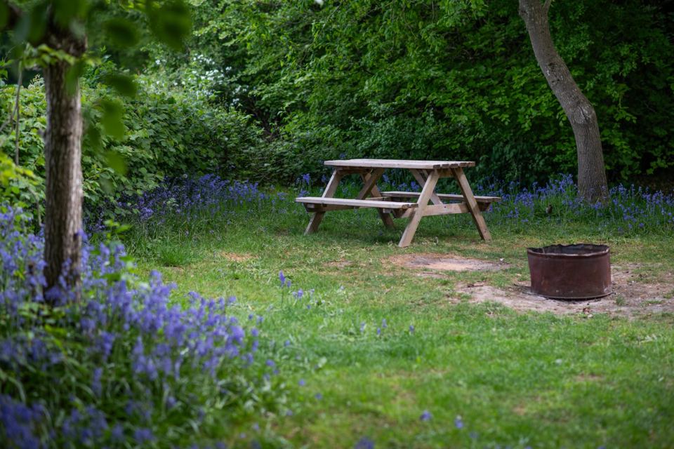 Woodland pitch with fire pit