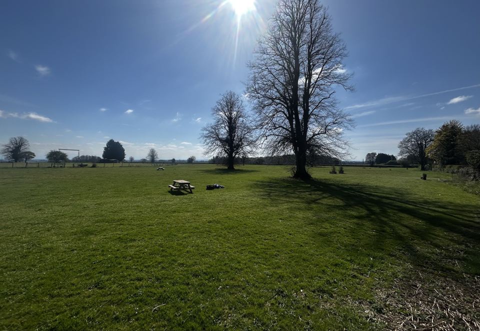 Broadfield Meadow with picnic tables