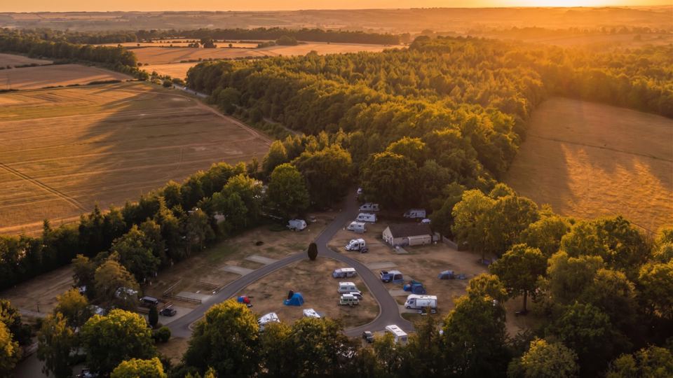 Site among trees from above