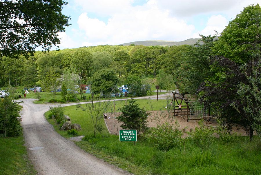 Track into the park