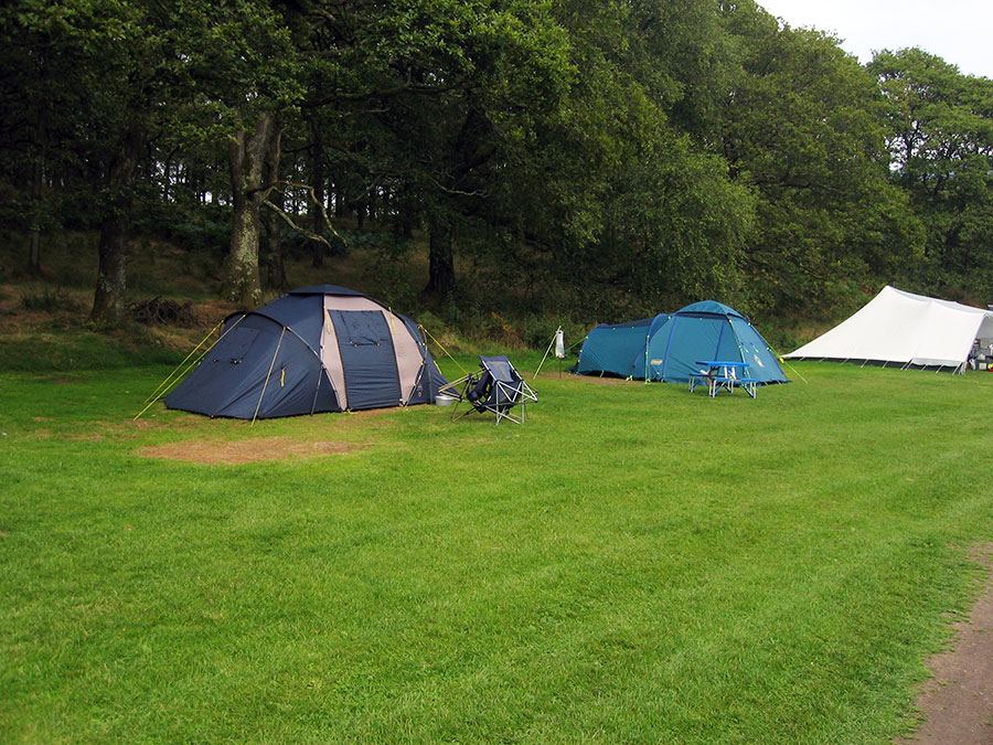 Tents pitched under the trees