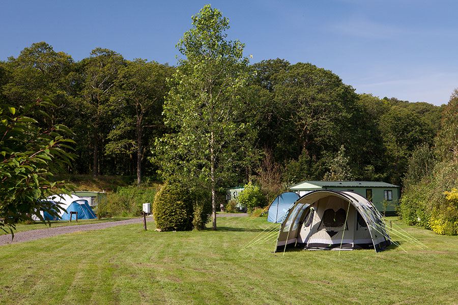 Tent and caravan in the clearing