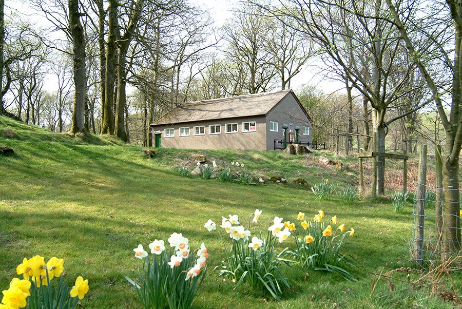 Lodge on the grass with daffodils