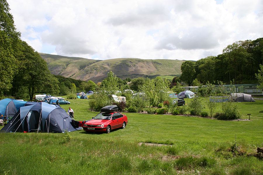 Tents and a car on the grass