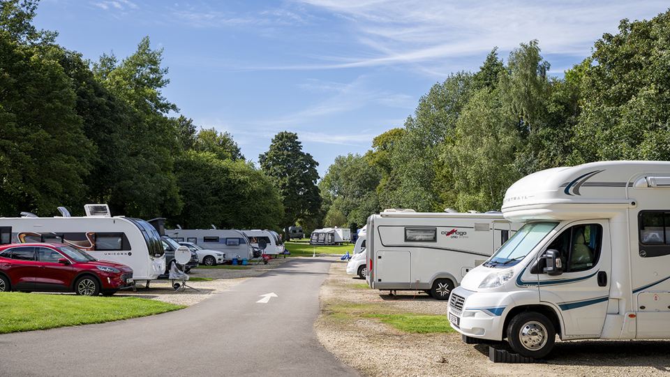 Motorhomes along the site road