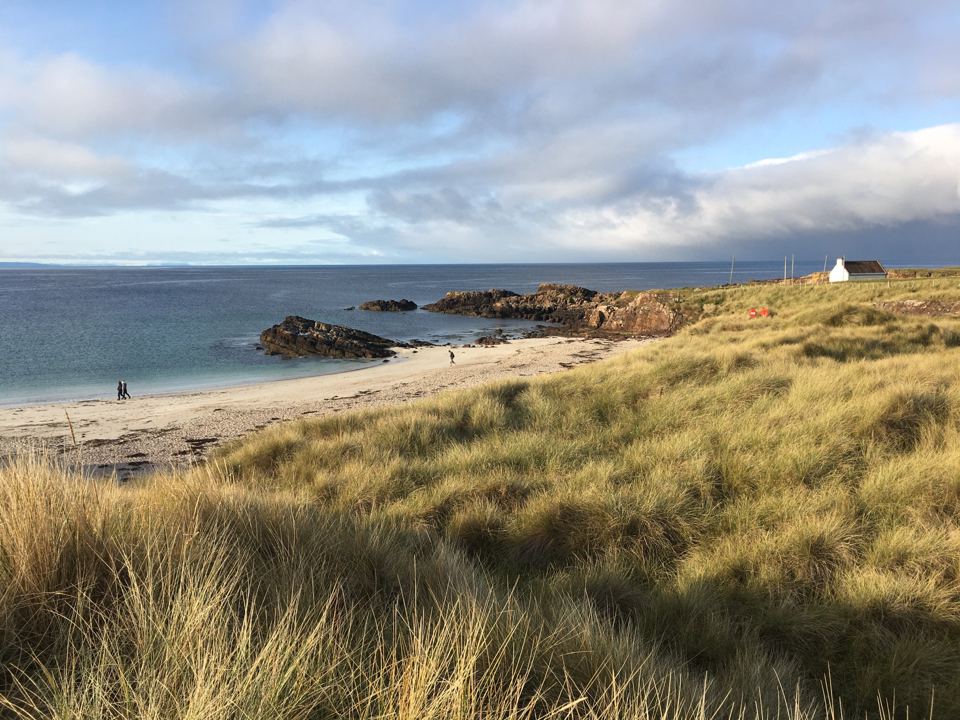 Dunes above the beach