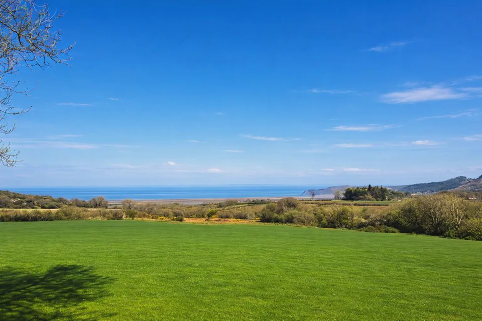 Grass and sea view