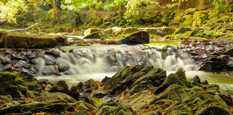 Rapids in the glen