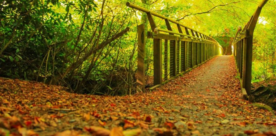Autumn footbridge on the glen trail