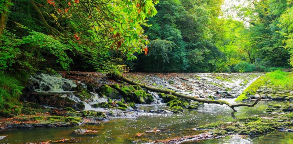 Waterfall on the River Cusher