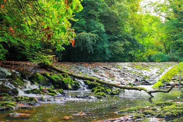 River Cusher weir in the glen
