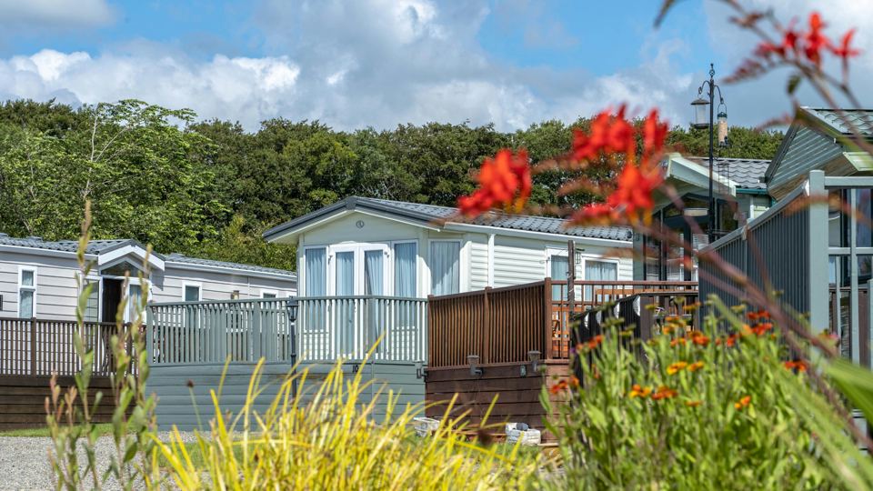 Caravan decking with red flowers