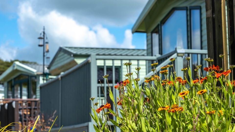 Lodges with flowers at the edge