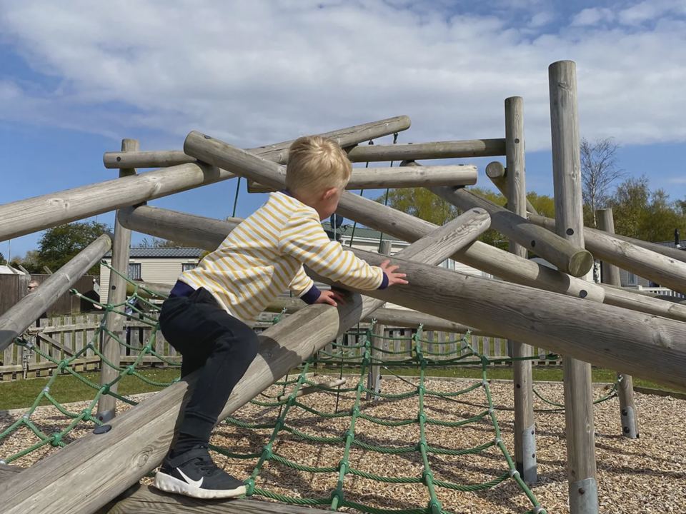 Timber climbing frame