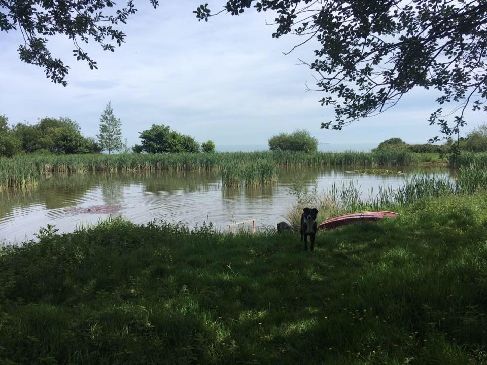 Pond on the farm